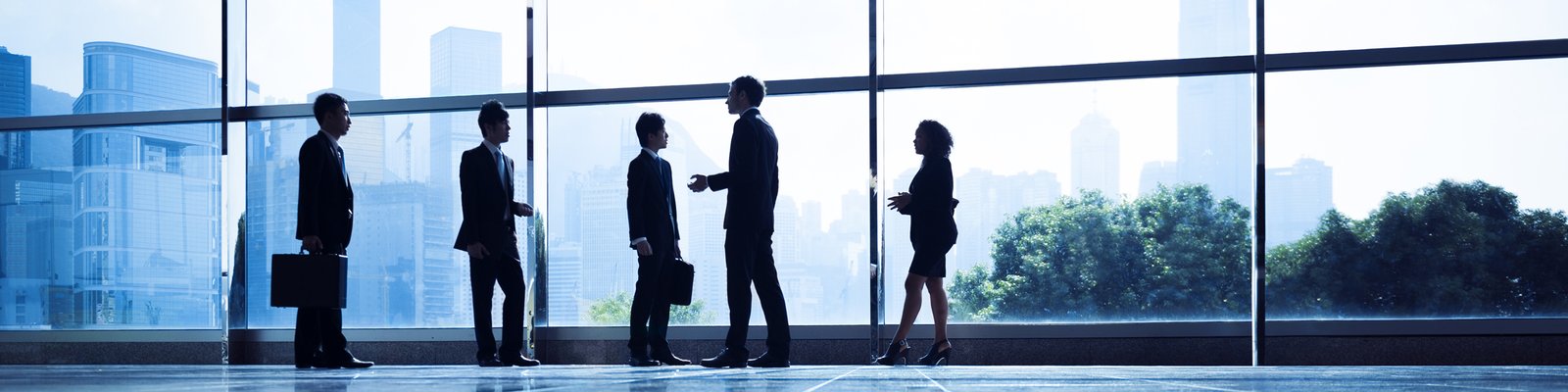 Banking, finance and insurance legal services